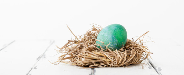 grönt fågelägg i ett fågelbo på vit träbakgrund