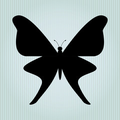 butterfly isolated design 