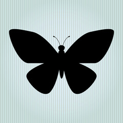 butterfly isolated design 