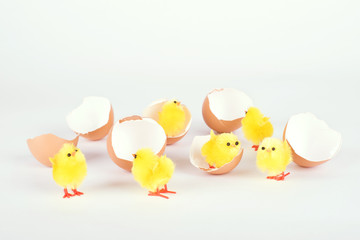 Chicken toy and egg shell isolated on white