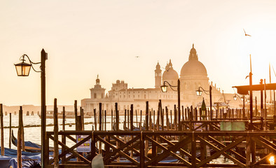Venice sunset backlight with gondolas and Santa Maria della Salu