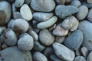 Pebbles