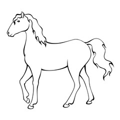 Fototapeta na wymiar Horse black white isolated illustration vector