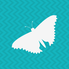 butterfly isolated design 