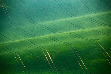 Behangcirkel Green Moravia Hills in spring © NemanTraveler