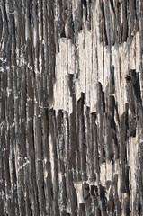 Old painted wood texture.