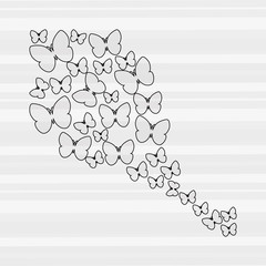 butterfly isolated design 