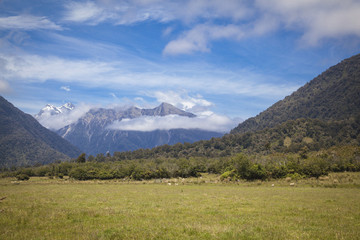 Fototapeta na wymiar Landschaft an der Westküste der Südinsel Neuseeland