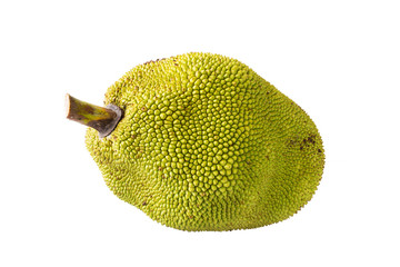 Jak Fruit Thailand © rangsan2526