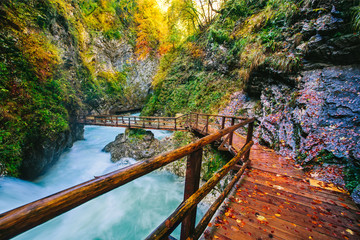 The famous Vintgar gorge Canyon with wooden pats,Bled,Triglav,Slovenia,Europe - 105011537
