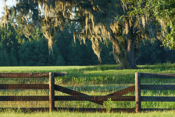 Broken farm ranch four board wood fence in front of green pasture field in the Southern countryside - 105012300