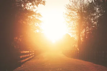 Fotobehang Rural country farm ranch grass road with three board wood fences under sunset or sunrise sunbeams with lens flare looking romantic divine heavenly mysterious warm serene transcendent © Lindsay_Helms