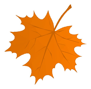 Autumn Maple Leaf Isolated Nature Symbol, Polygonal Low Poly Design. Vector