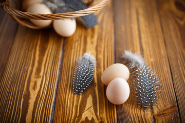 Eggs of a guinea fowl