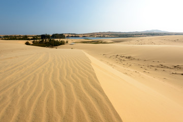 Fototapeta na wymiar White sands Dunes in Vietnam, White desert background,Popular tourist attractions in South of Vietnam.