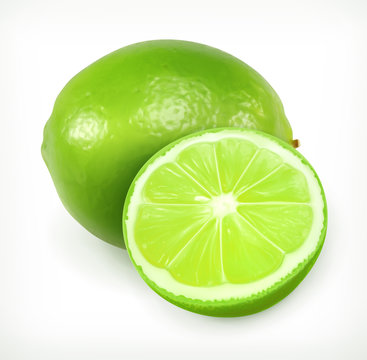 Lime, citrus fruit vector icon