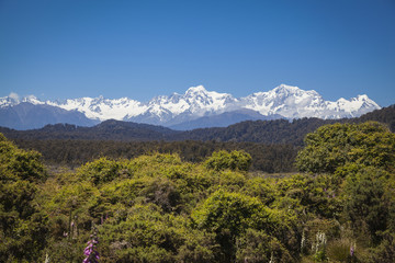 Fototapeta na wymiar Blick auf die Südalpen Neuseeland