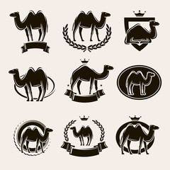 Camel label and icons set. Vector