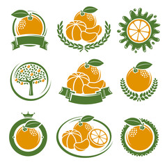Mandarin labels and elements set. Vector