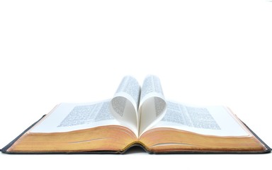 Full bible with heart forming from the open pages