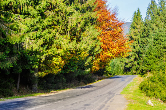 mountain road in autumn forest