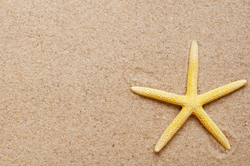 Fototapeta na wymiar Sea shells on sand.red and yellow Shell Starfish