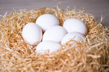close up of white eggs in nest