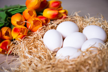 close up of white eggs in nest and tulips