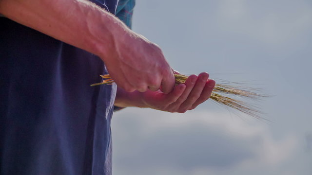 Farmer on the field where is wheat - Powered by Adobe