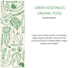 Banner template  green vegetables with place for your text. Vector design menu concept. Healthy food background