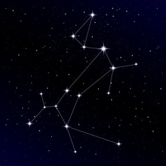 Fototapeta premium Canis Major constellation with Sirius star