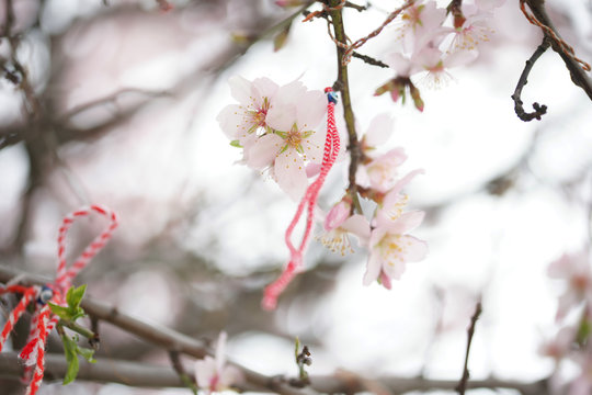 Цветущее розовое дерево с весенними украшениями