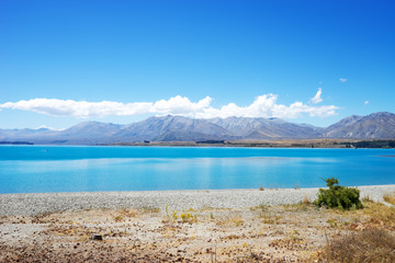 landscape of lake in summer day in new zealand