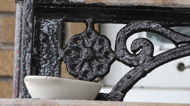 M&eacute;sange &agrave; t&ecirc;te noire