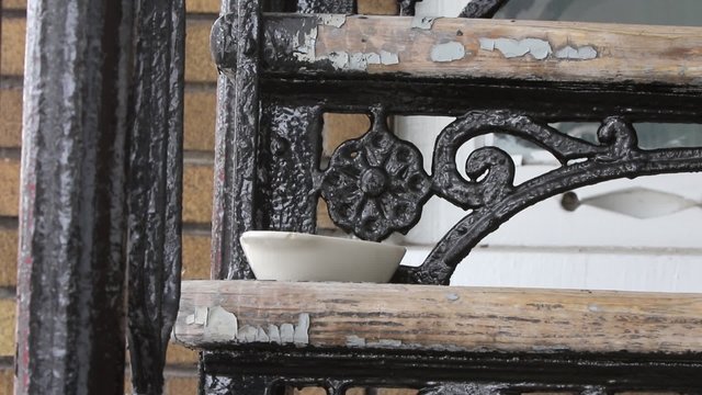 M&eacute;sange &agrave; t&ecirc;te noire