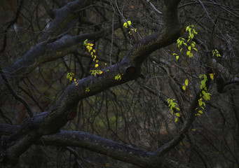 Młodzież © Tomek Kiecana