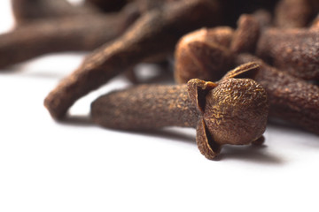 clove macro Syzygium aromaticum