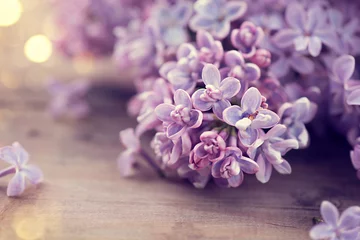 Foto op Plexiglas Bloemen Lilac spring flowers bunch over wooden background