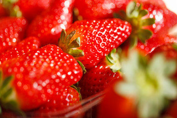Fresh Ripe Perfect Strawberries.Selective focus