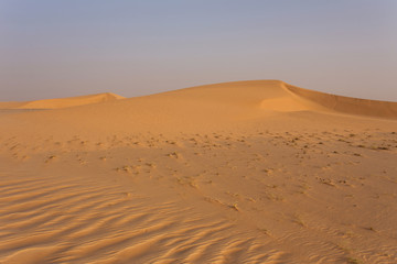 Fototapeta na wymiar Sahara desert