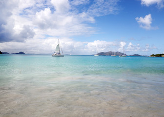 Obraz premium SUGAR CANE BEACH,TORTILLA,BRITISH VIRGIN ISLANDS