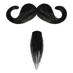 Mustache and goatee beard isolated on white - obrazy, fototapety, plakaty
