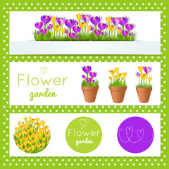 Set of vector banners with garden flowers in pots.For flower sho