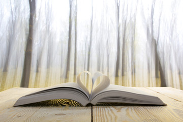 Open book at wooden table on natural blurred background. Heart books page. Back to school. Copy Space
