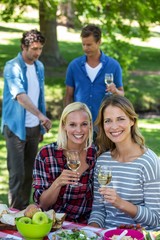 Friends having a picnic with wine