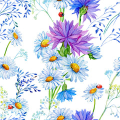 seamless pattern .Illustration watercolor,flowers,wild flowers ,daisies,cornflowers