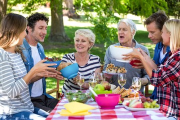 Friends having a picnic