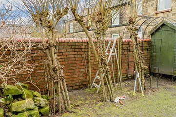 Winter pruning of living willow structure.