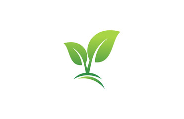Fototapeta na wymiar green leaf plant landscape logo