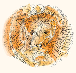 Hand drawn vector illustration with lion's head